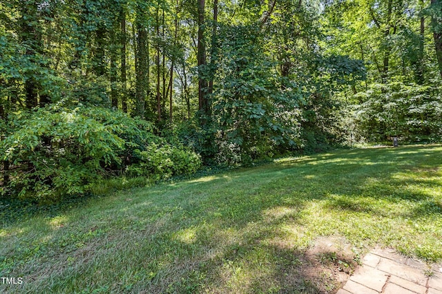 144 Greenmont Ln, Cary, NC 27511 - photo 16