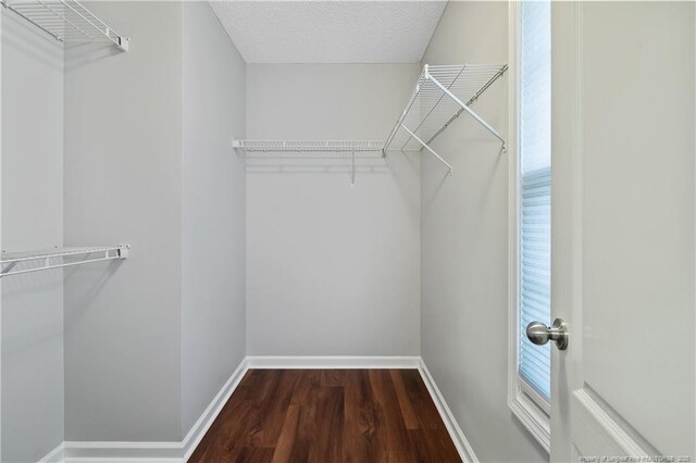 4420 Battle Forest Rd, Hope Mills, NC 28348 - photo 29