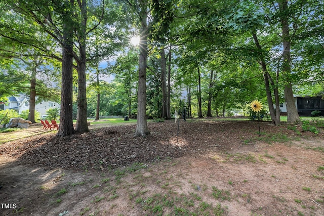 120 Feezor Ct, Clayton, NC 27527 - view of yard