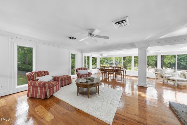 121 Pomp Boys Dr, Littleton, NC 27850 - photo 28