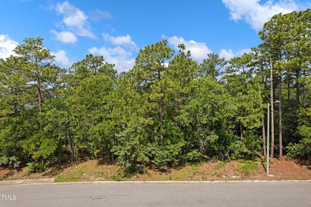 1167 Landau Rd, Fayetteville, NC 28311