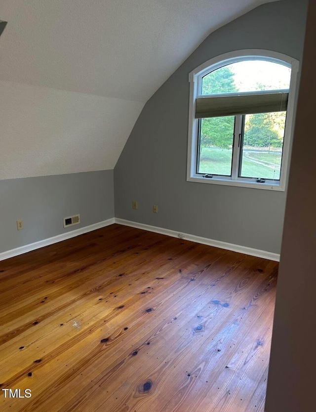 300 Christmas Rd, Warrenton, NC 27589 - additional living space featuring lofted ceiling and hardwood / wood-style floors