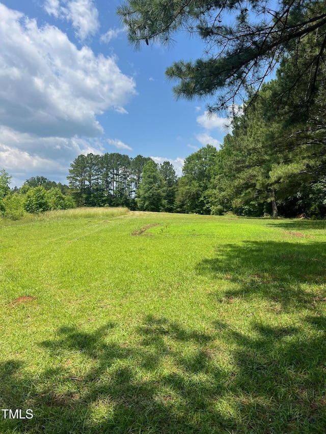300 Christmas Rd, Warrenton, NC 27589 - view of yard