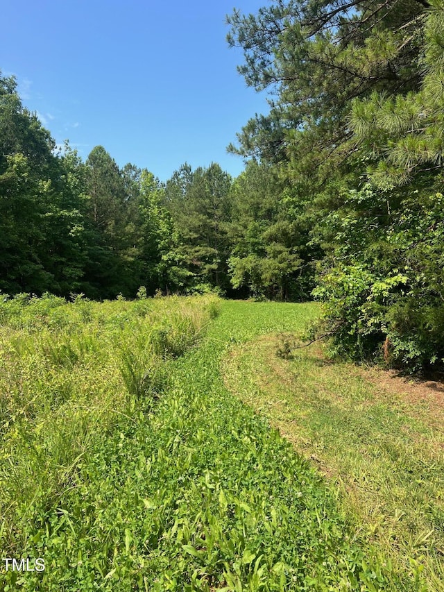 300 Christmas Rd, Warrenton, NC 27589 - view of tree filled area
