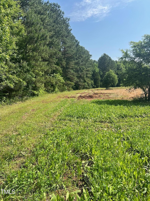 300 Christmas Rd, Warrenton, NC 27589 - view of wooded area featuring a view of countryside