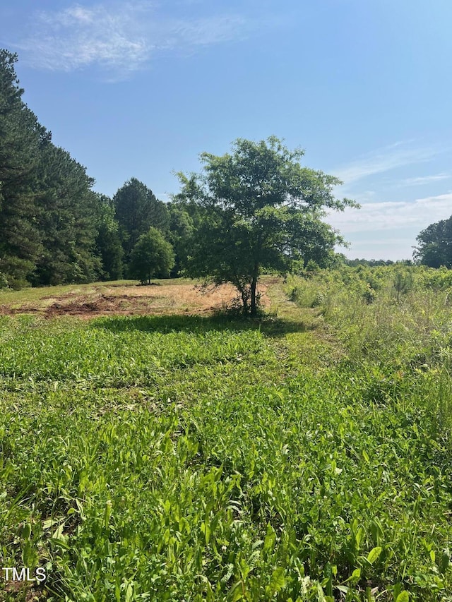 300 Christmas Rd, Warrenton, NC 27589 - view of wooded area featuring a rural view