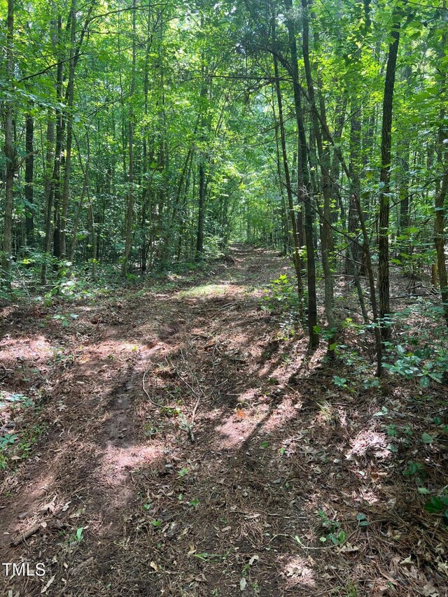 300 Christmas Rd, Warrenton, NC 27589 - view of wooded area