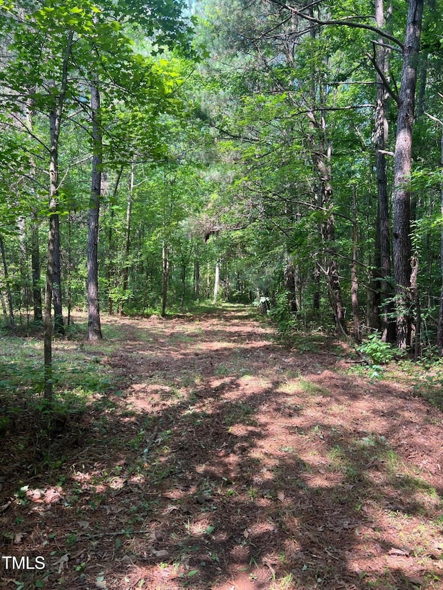 300 Christmas Rd, Warrenton, NC 27589 - view of woods