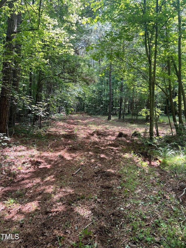300 Christmas Rd, Warrenton, NC 27589 - view of tree filled area