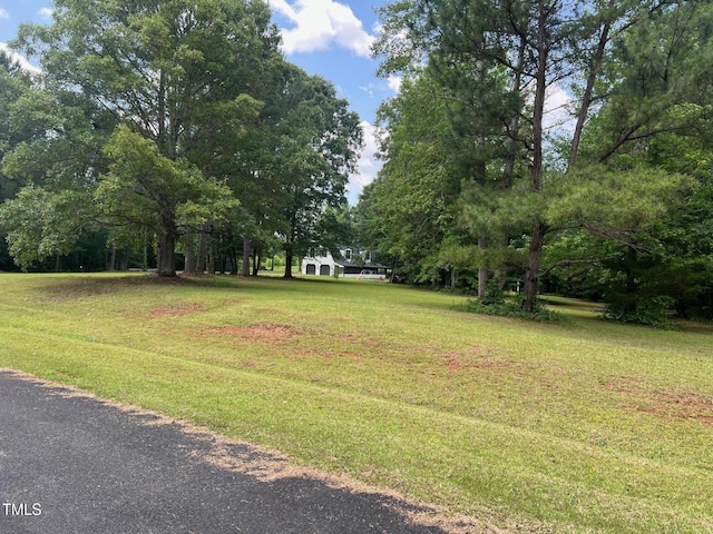 300 Christmas Rd, Warrenton, NC 27589 - view of green lawn