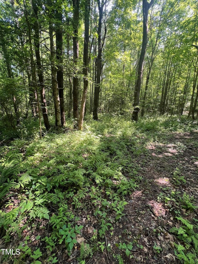 300 Christmas Rd, Warrenton, NC 27589 - view of woods