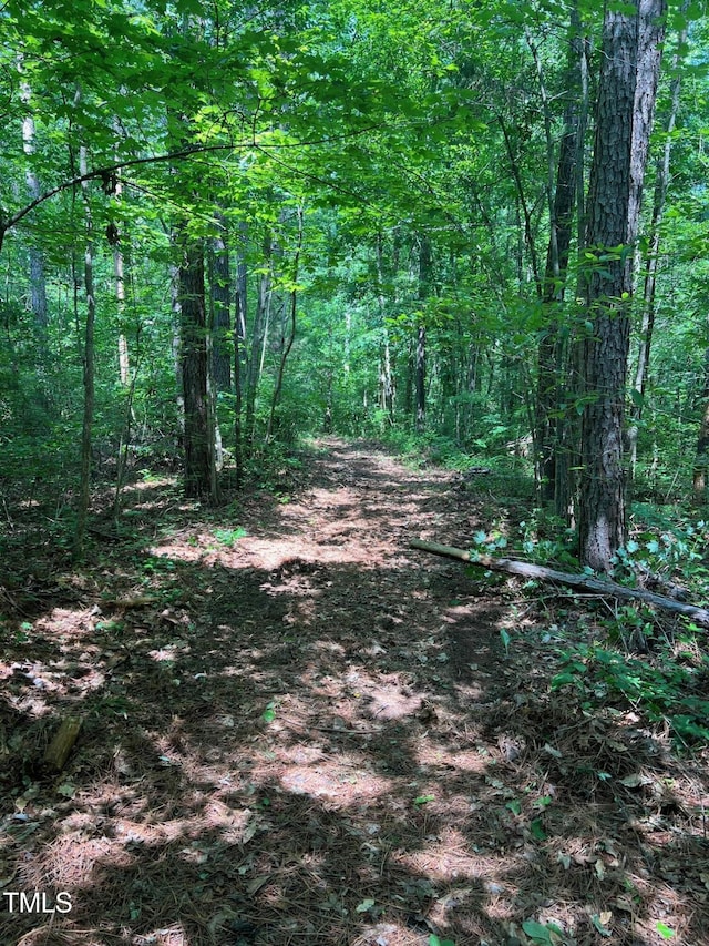 300 Christmas Rd, Warrenton, NC 27589 - view of woods