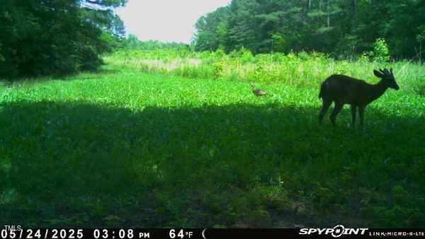 300 Christmas Rd, Warrenton, NC 27589 - view of nature