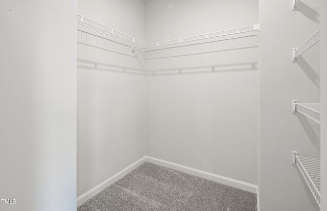 1525 Tamarisk Ln, Durham, NC 27703 - walk in closet featuring carpet