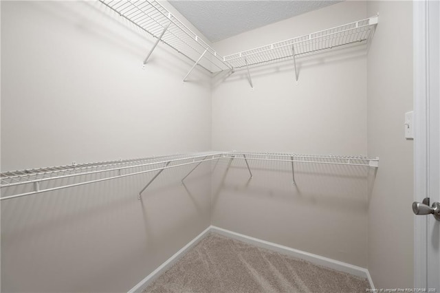 5511 Shady Lawn Dr, Hope Mills, NC 28348 - walk in closet featuring carpet floors