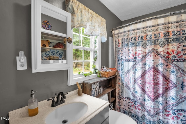 1869 Brevard Rd, Graham, NC 27253 - bathroom with vanity, toilet, and a shower with curtain