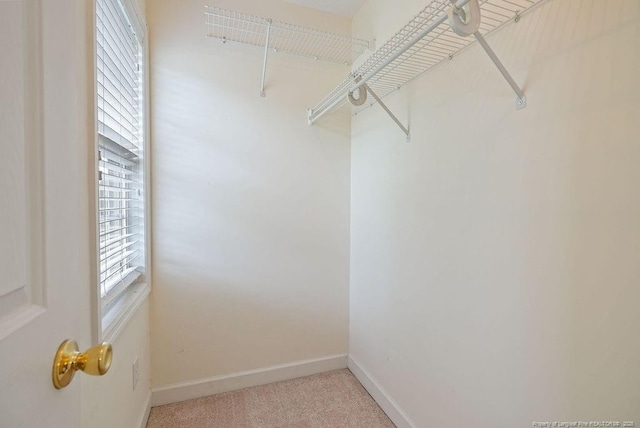 1314 Four Wood Dr, Fayetteville, NC 28312 - spacious closet featuring light carpet