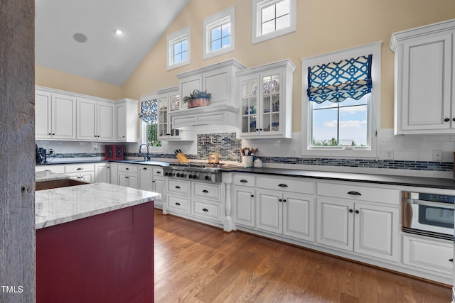 4737 Uzzle Rd, Rougemont, NC 27572 - kitchen with appliances with stainless steel finishes, high vaulted ceiling, decorative backsplash, glass insert cabinets, and white cabinetry