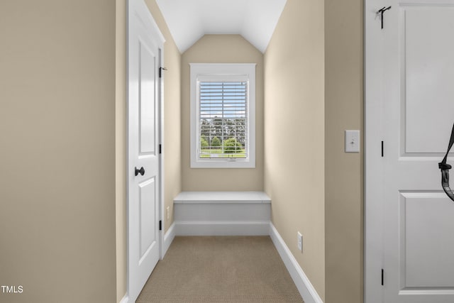 4737 Uzzle Rd, Rougemont, NC 27572 - hallway featuring baseboards, light carpet, and vaulted ceiling