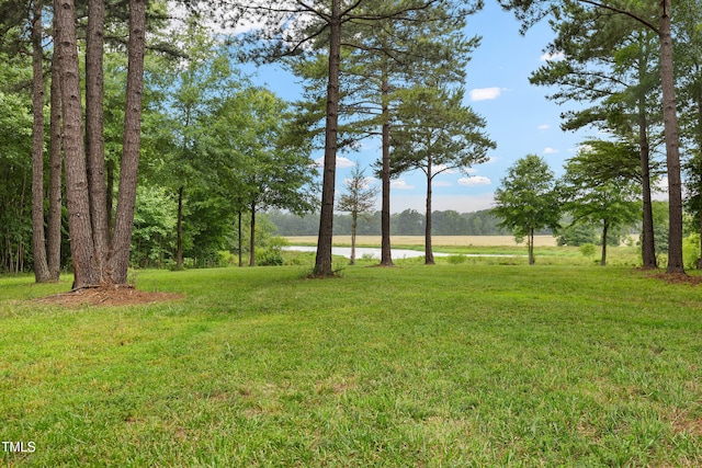 4737 Uzzle Rd, Rougemont, NC 27572 - view of green lawn