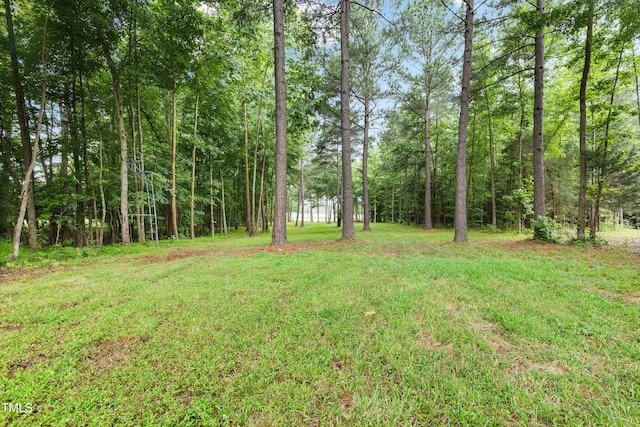 4737 Uzzle Rd, Rougemont, NC 27572 - view of grassy yard featuring a view of trees