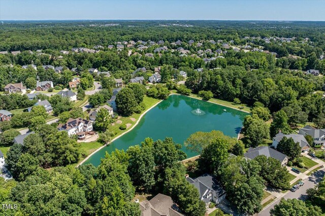318 Riggsbee Farm Dr, Cary, NC 27519 - photo 29