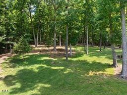 311 Rassie Crabtree Rd, Rougemont, NC 27572 - view of grassy yard
