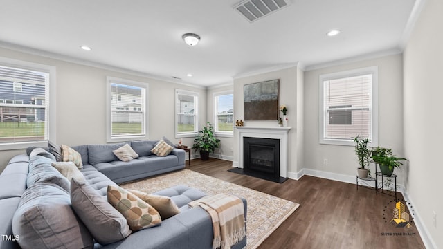 3421 Lebrun Path, Fuquay Varina, NC 27526 - living room with ornamental molding, dark wood finished floors, plenty of natural light, recessed lighting, and a fireplace with flush hearth