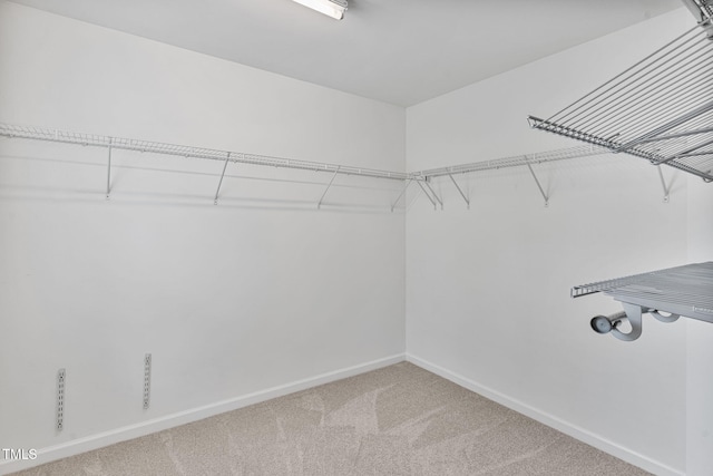 518 Emerald Downs Rd, Cary, NC 27519 - walk in closet with light colored carpet