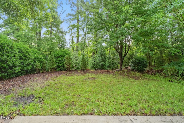 518 Emerald Downs Rd, Cary, NC 27519 - view of yard