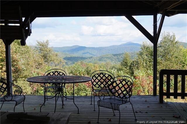 1115 Elk Wallow, Bakersville, NC 28705 - photo 25