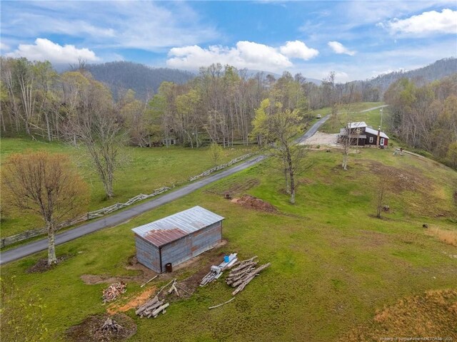 1115 Elk Wallow, Bakersville, NC 28705 - photo 27