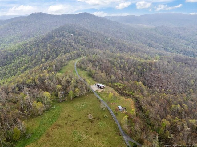 1115 Elk Wallow, Bakersville, NC 28705 - photo 31