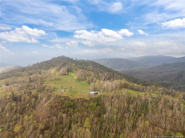 1115 Elk Wallow, Bakersville, NC 28705 - photo 32