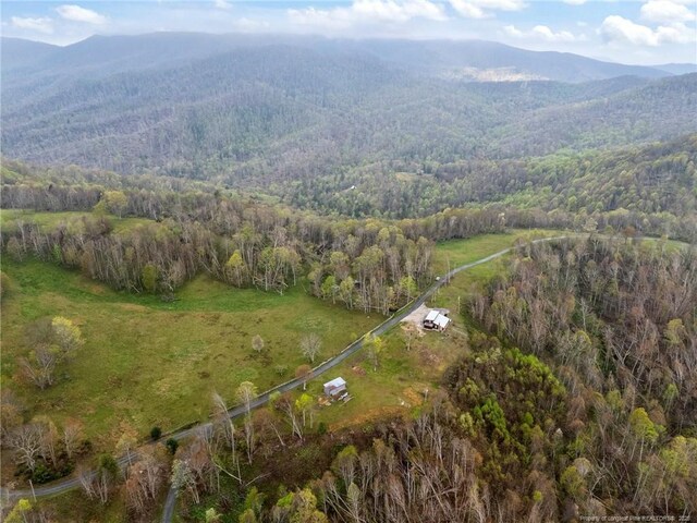1115 Elk Wallow, Bakersville, NC 28705 - photo 34
