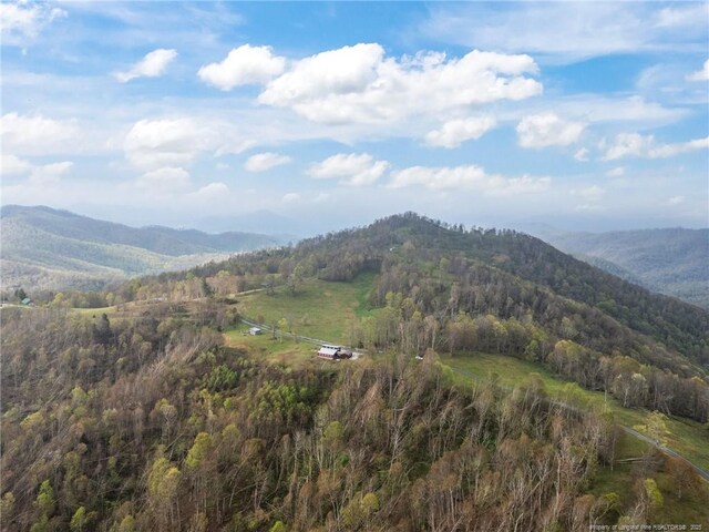 1115 Elk Wallow, Bakersville, NC 28705 - photo 35