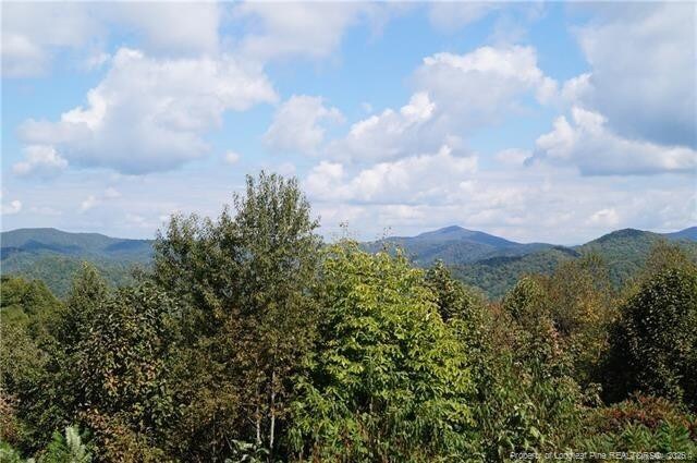 1115 Elk Wallow, Bakersville, NC 28705 - photo 37