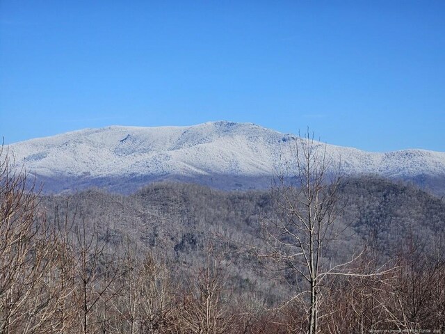 1115 Elk Wallow, Bakersville, NC 28705 - photo 36