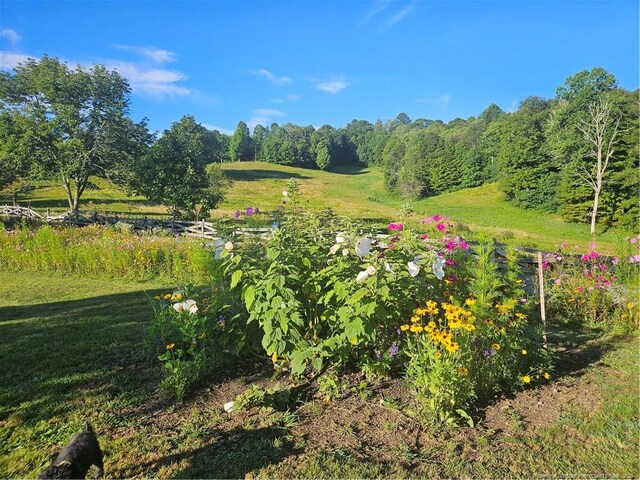 1115 Elk Wallow, Bakersville, NC 28705 - photo 41