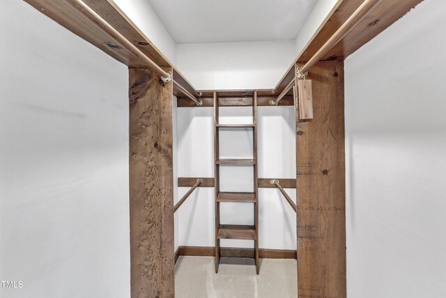 8121 Bentwood Pl, Raleigh, NC 27615 - view of spacious closet