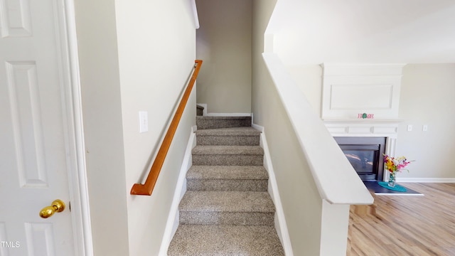 417 Downing Glen Dr, Morrisville, NC 27560 - photo 21
