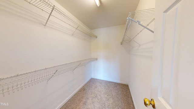 417 Downing Glen Dr, Morrisville, NC 27560 - photo 39