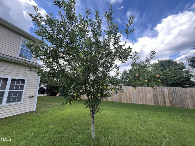 417 Downing Glen Dr, Morrisville, NC 27560 - photo 50