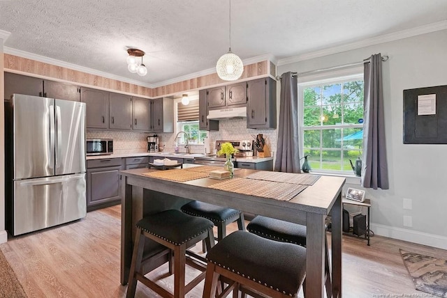 9872 NC-72 Hwy E, Lumberton, NC 28358 - kitchen featuring appliances with stainless steel finishes, under cabinet range hood, plenty of natural light, light wood-type flooring, and ornamental molding