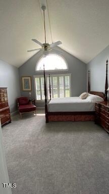 3409 Bennyfield Ct, Fuquay Varina, NC 27526 - carpeted bedroom featuring lofted ceiling