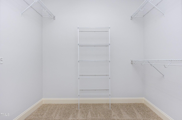 235 Camden Place St, Princeton, NC 27569 - spacious closet with carpet floors