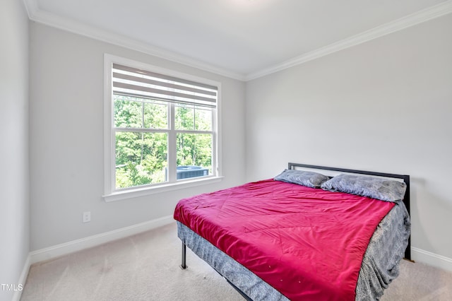 121 Canyon Gap Way, Raleigh, NC 27610 - carpeted bedroom featuring ornamental molding and baseboards