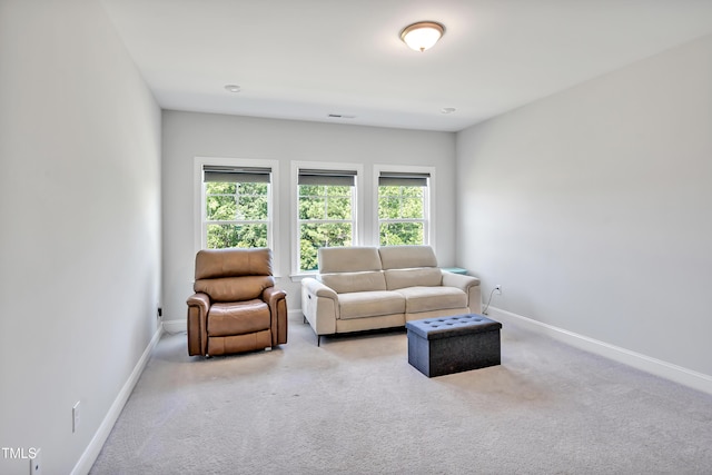 121 Canyon Gap Way, Raleigh, NC 27610 - living room with healthy amount of natural light, baseboards, and carpet flooring