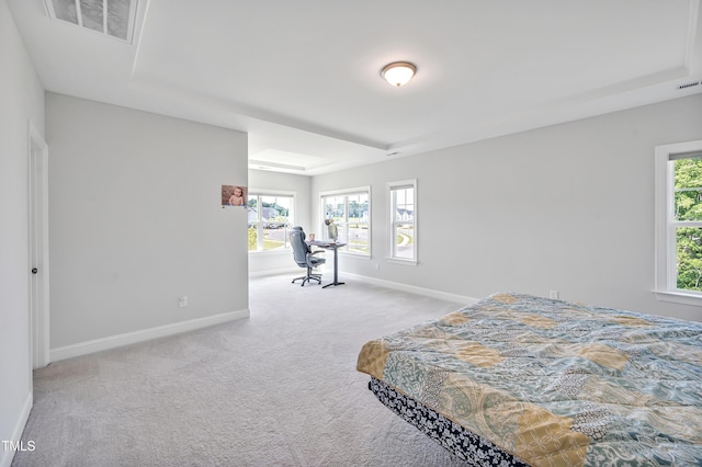 121 Canyon Gap Way, Raleigh, NC 27610 - carpeted bedroom featuring baseboards, multiple windows, and a raised ceiling