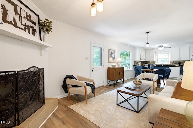 1416 Bramble Dr, Durham, NC 27712 - living room featuring ornamental molding, light wood-style flooring, a ceiling fan, and baseboards